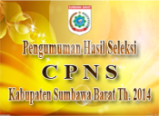 b_200_128_16777215_00_images_Pengumuman_CPNS.png